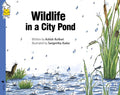 Wildlife In A City Pond
