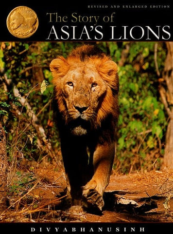 The Story of Asia’s Lions