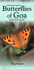 Butterflies Of Goa