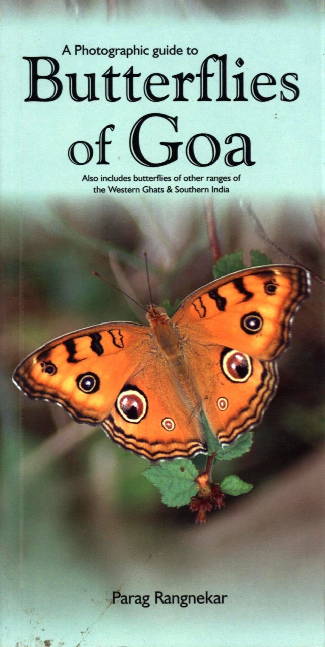 Butterflies Of Goa