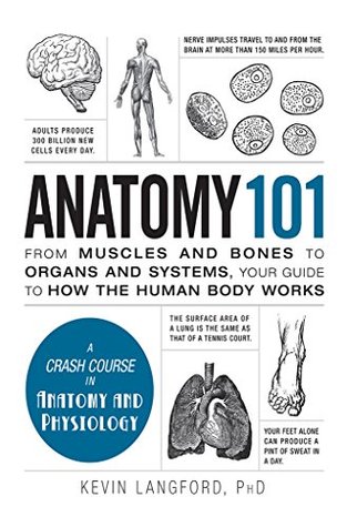 Anatomy 101: From Muscles And Bones To Organs And Systems, Your Guide To How The Human Body Works