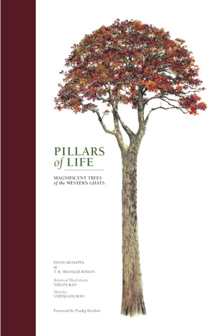 Pillars of Life