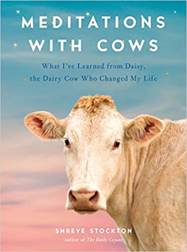 Meditations With Cows