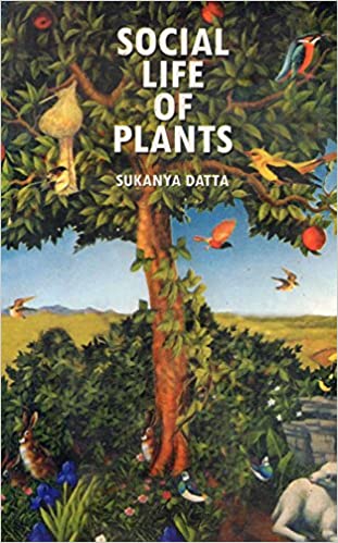 Social Life Of Plants