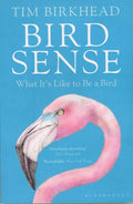 Bird Sense: What It's Like to Be a Bird