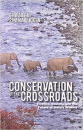 Conservation at the Crossroads