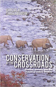 Conservation at the Crossroads