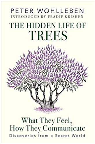 The Hidden Life Of Trees: What They Feel, How They Communicate
