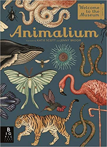 Animalium (Welcome to the Museum)