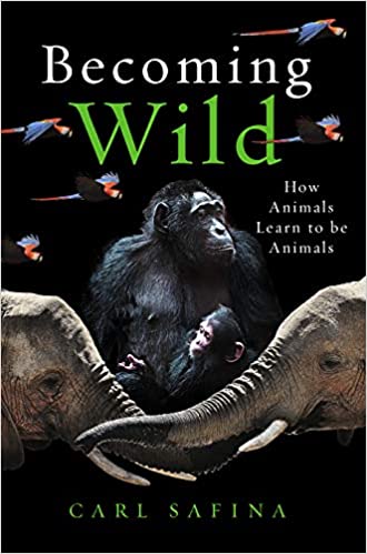 Becoming Wild