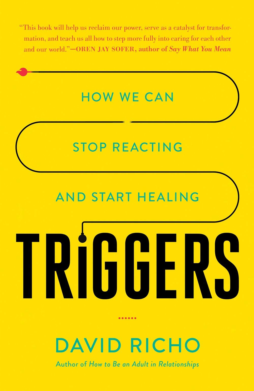 Triggers: How We can Stop Reacting And Start Healing