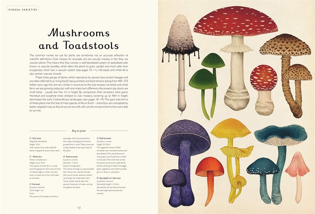 Fungarium (Welcome to the Museum)