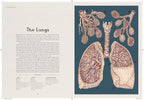 Anatomicum (Welcome to the Museum)