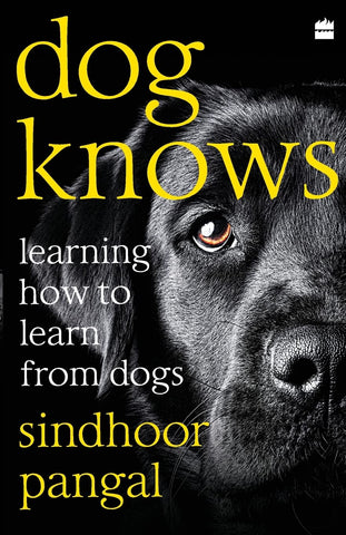 Dog Knows: Learning How To Learn From Dogs