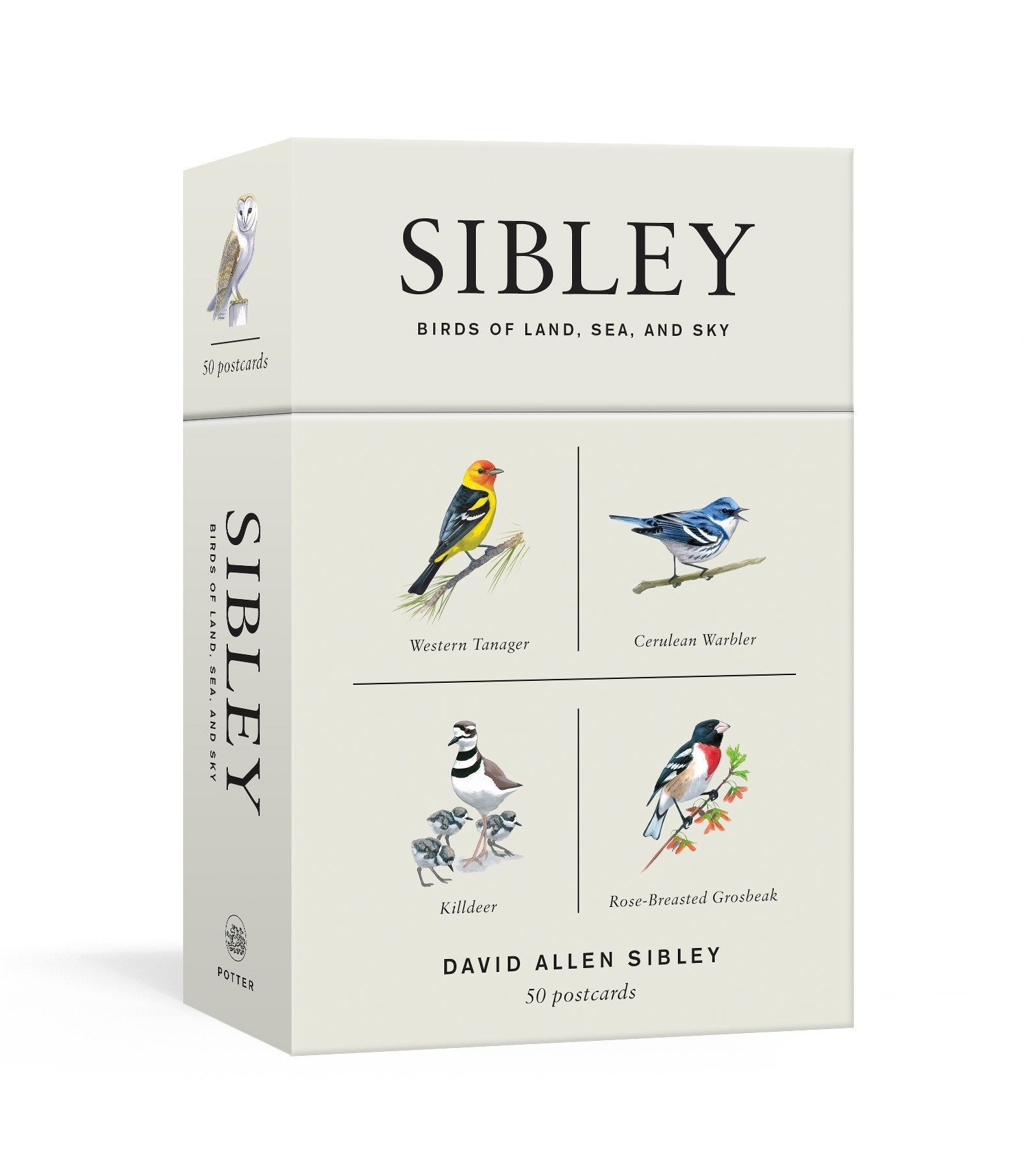 Sibley Birds Of Land, Sea, And Sky: 50 Postcards