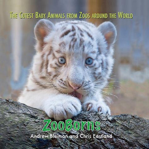 Zoo Borns! Zoo Babies From Around The World
