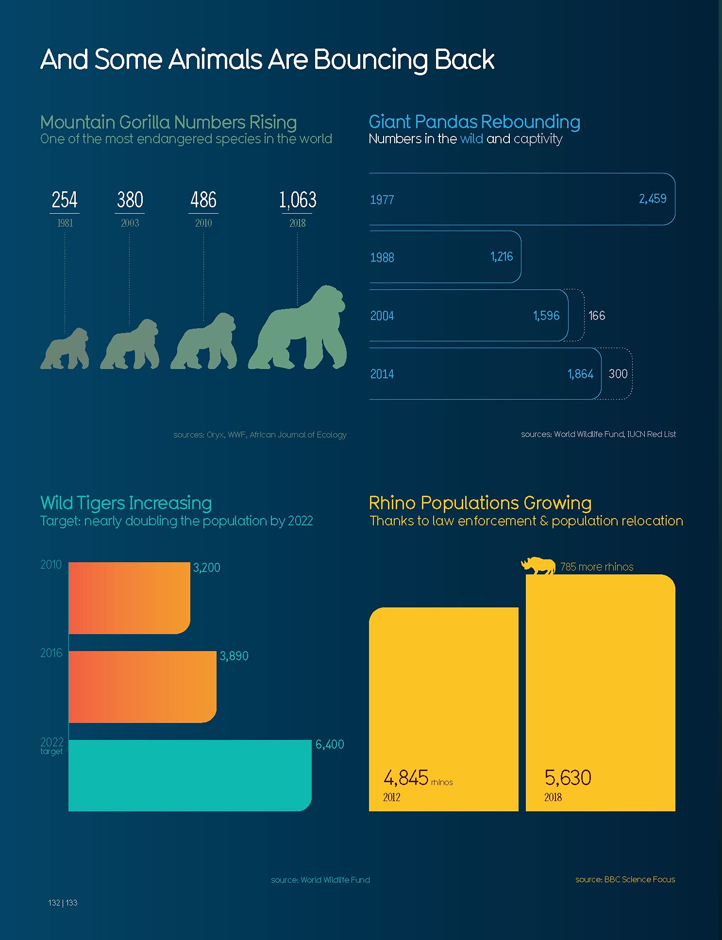Beautiful News: Positive Trends, Uplifting Stats, Creative Solutions