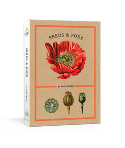 Seeds And Pods: 24 Postcards