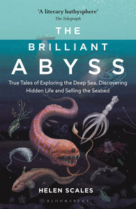 The Brilliant Abyss: True Tales Of Exploring The Deep Sea, Discovering Hidden Life And Selling The Seabed
