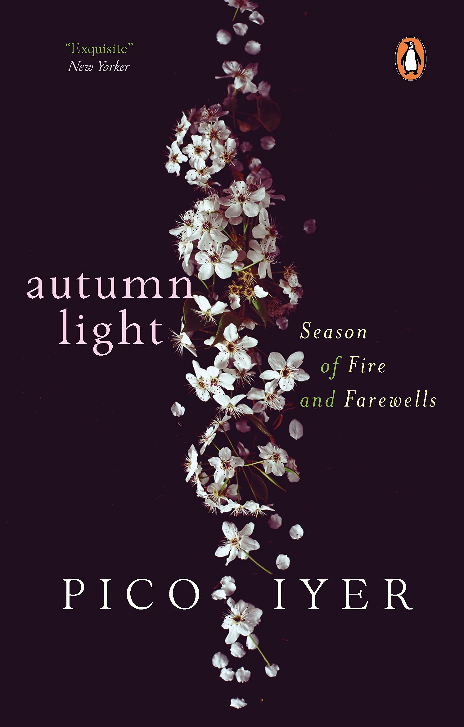 Autumn Light: Season Of Fire And Farewells