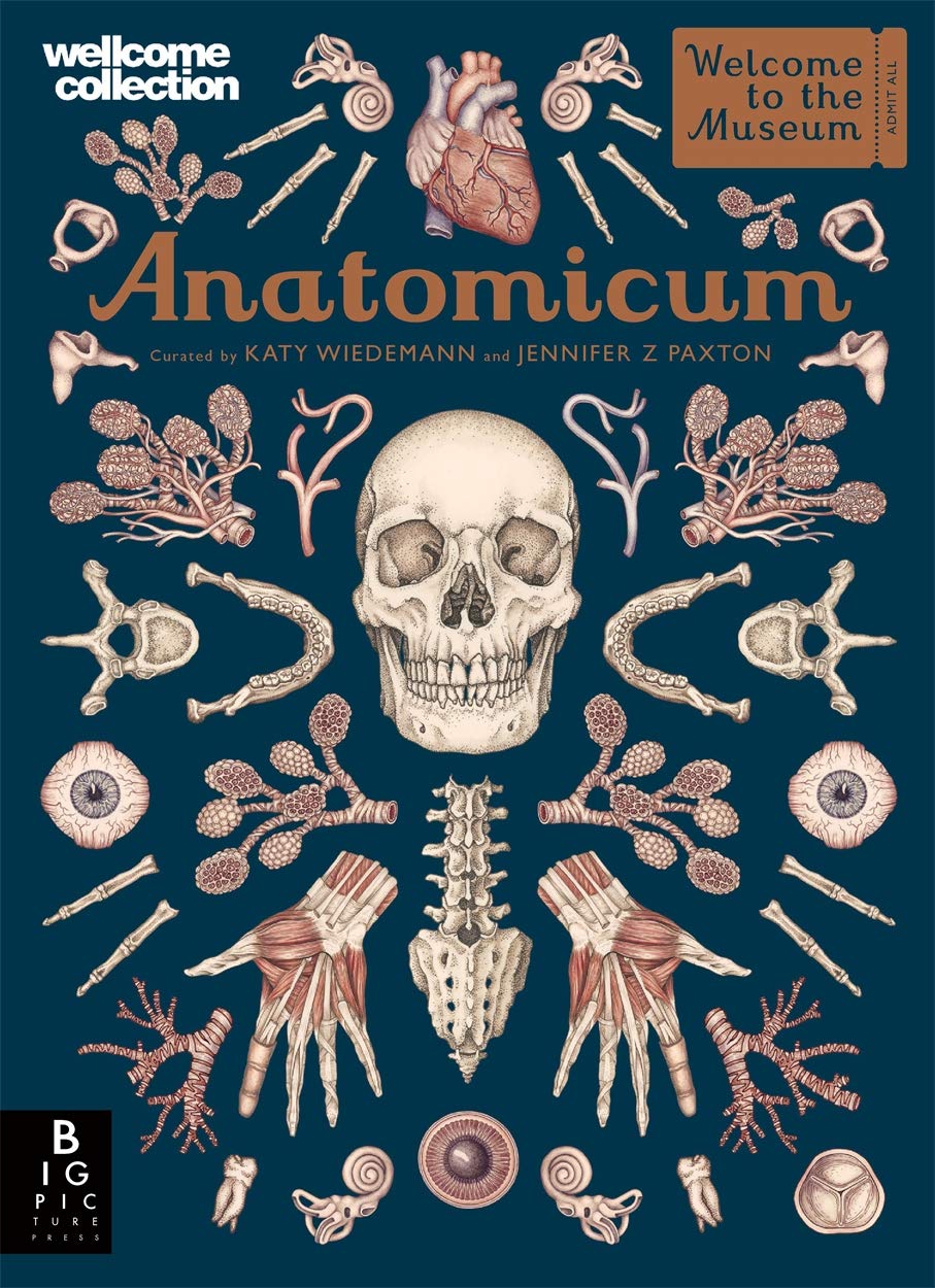 Anatomicum (Welcome to the Museum)