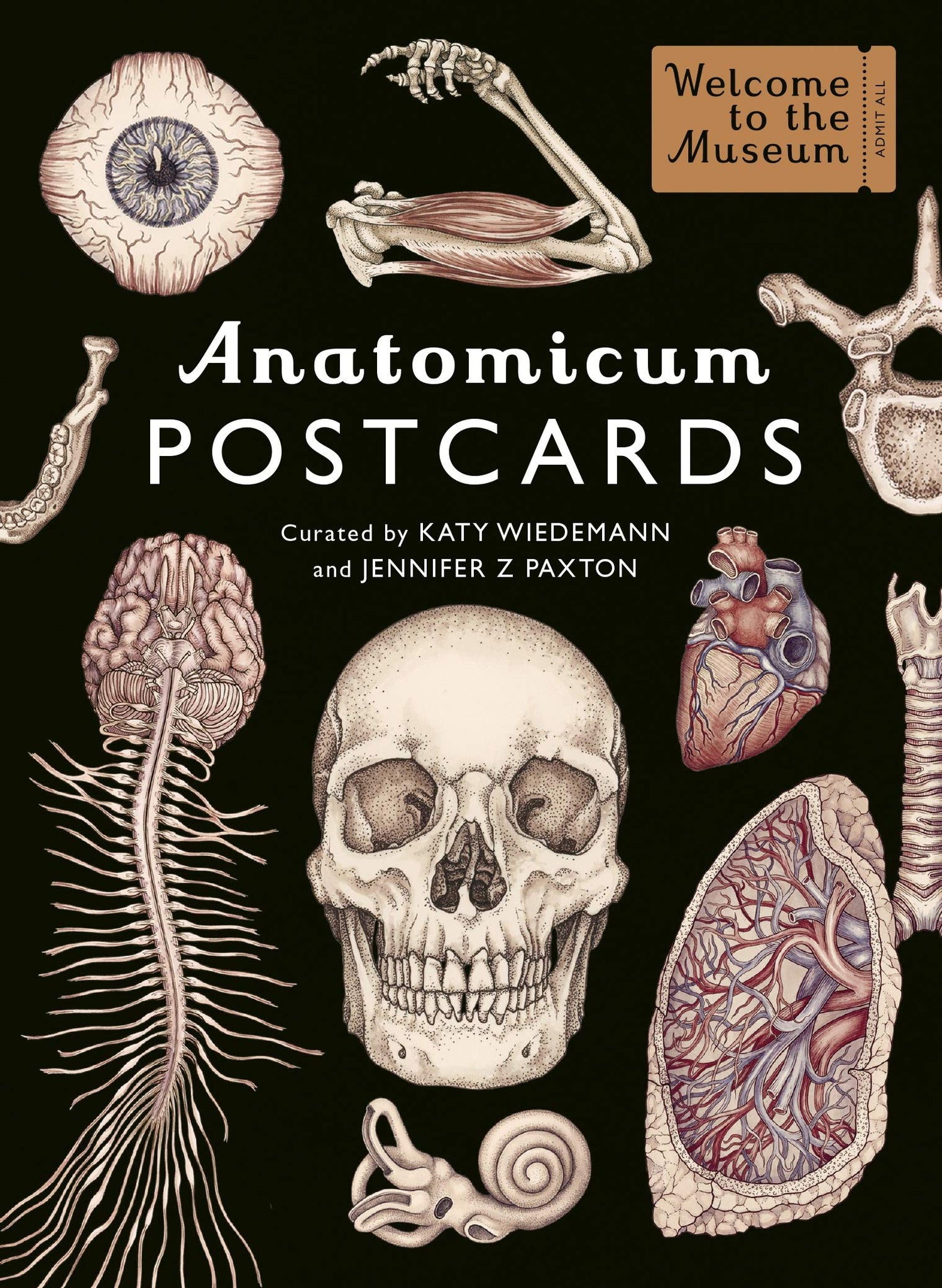 Anatomicum Postcards Box