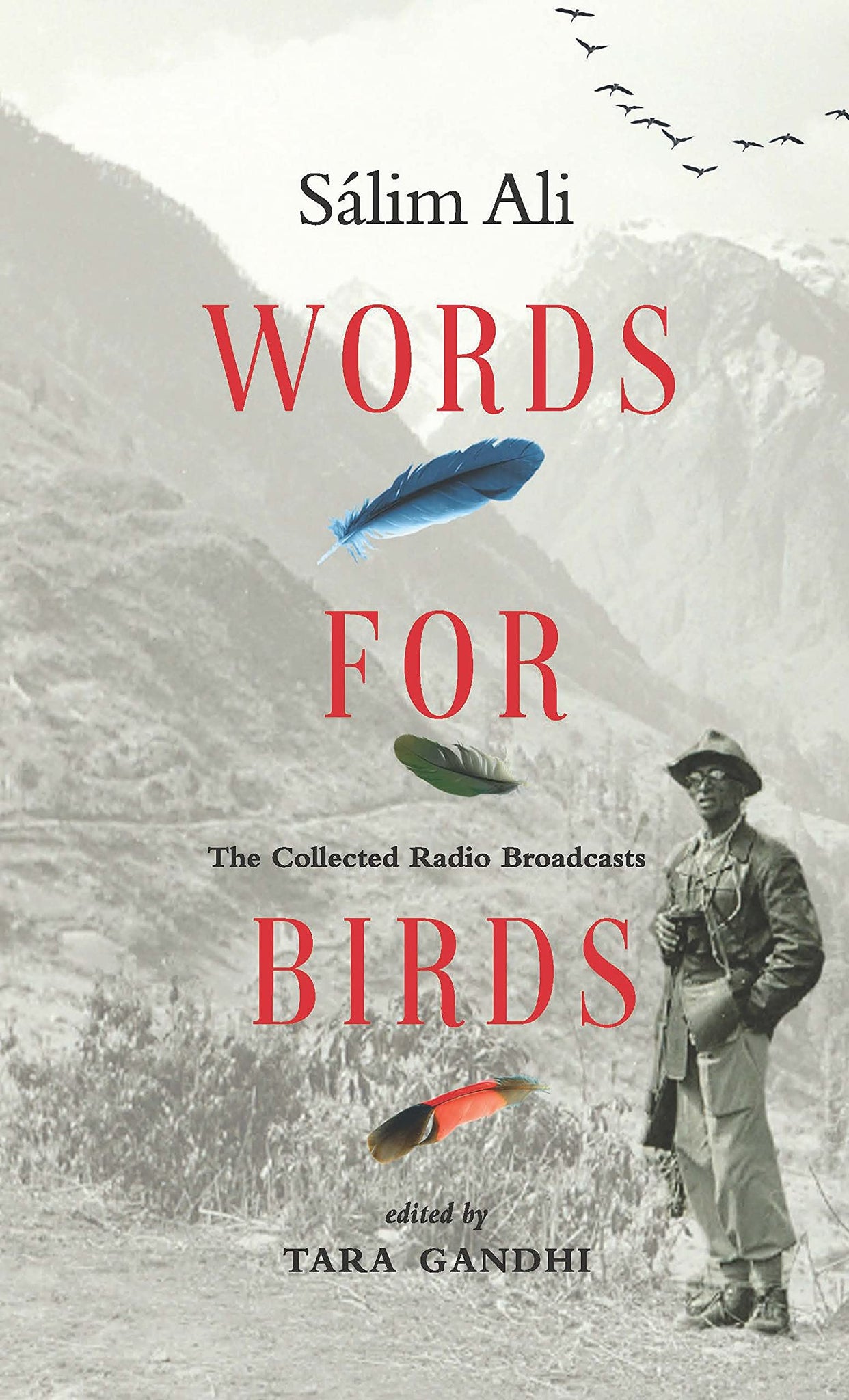 Words For Birds: The Collected Radio Broadcasts