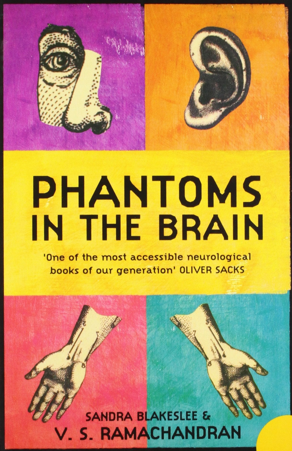Phantoms In The Brain