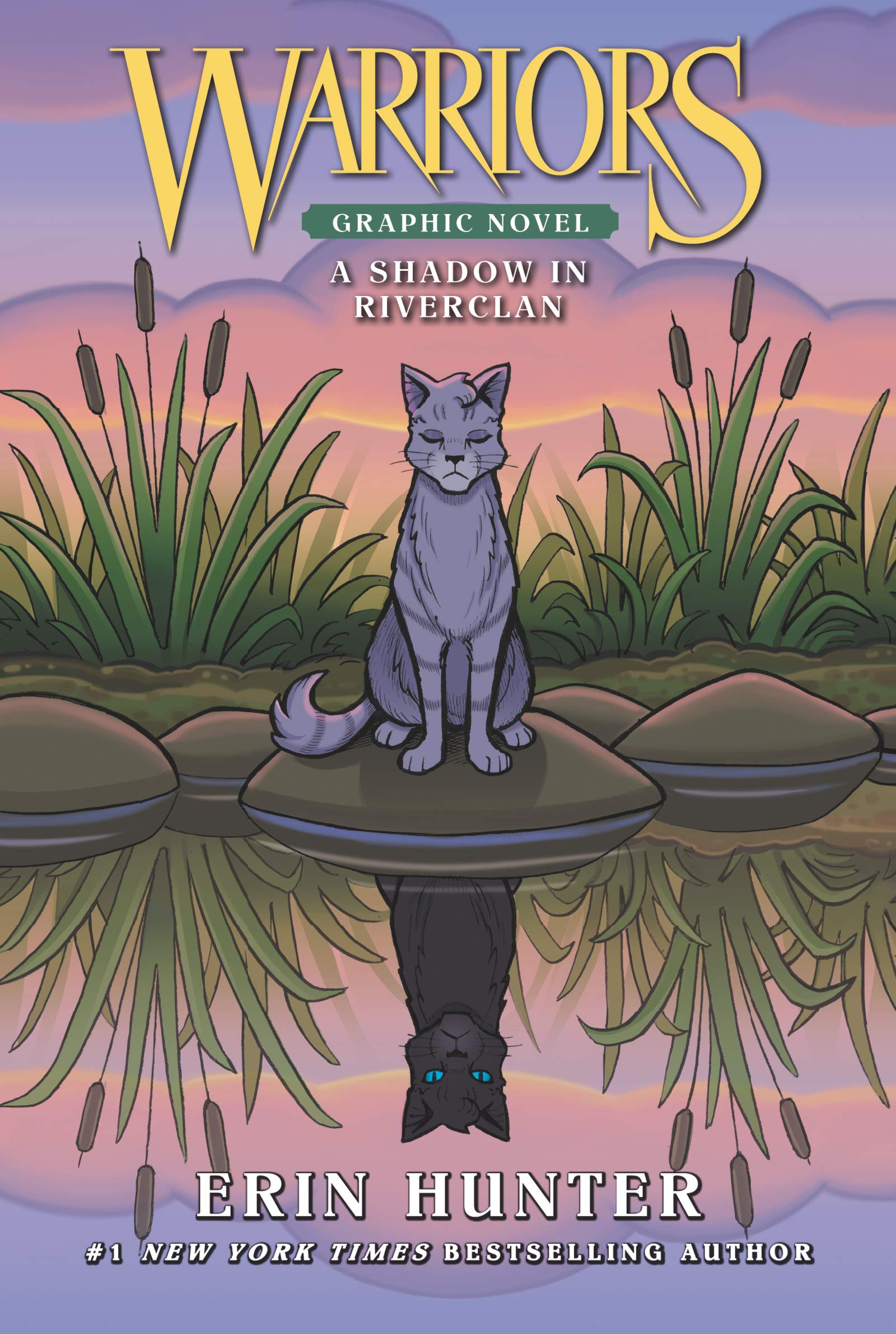 Warriors: A Shadow In RiverClan