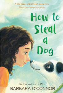 How to Steal a Dog: A Novel