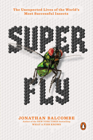 Super Fly: The Unexpected Lives Of The World's Most Successful Insects