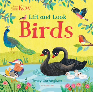 Lift And Look: Birds