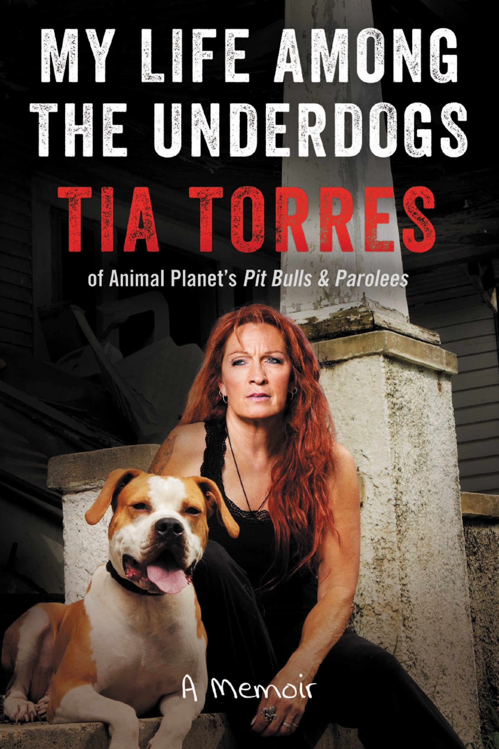 My Life Among The Underdogs