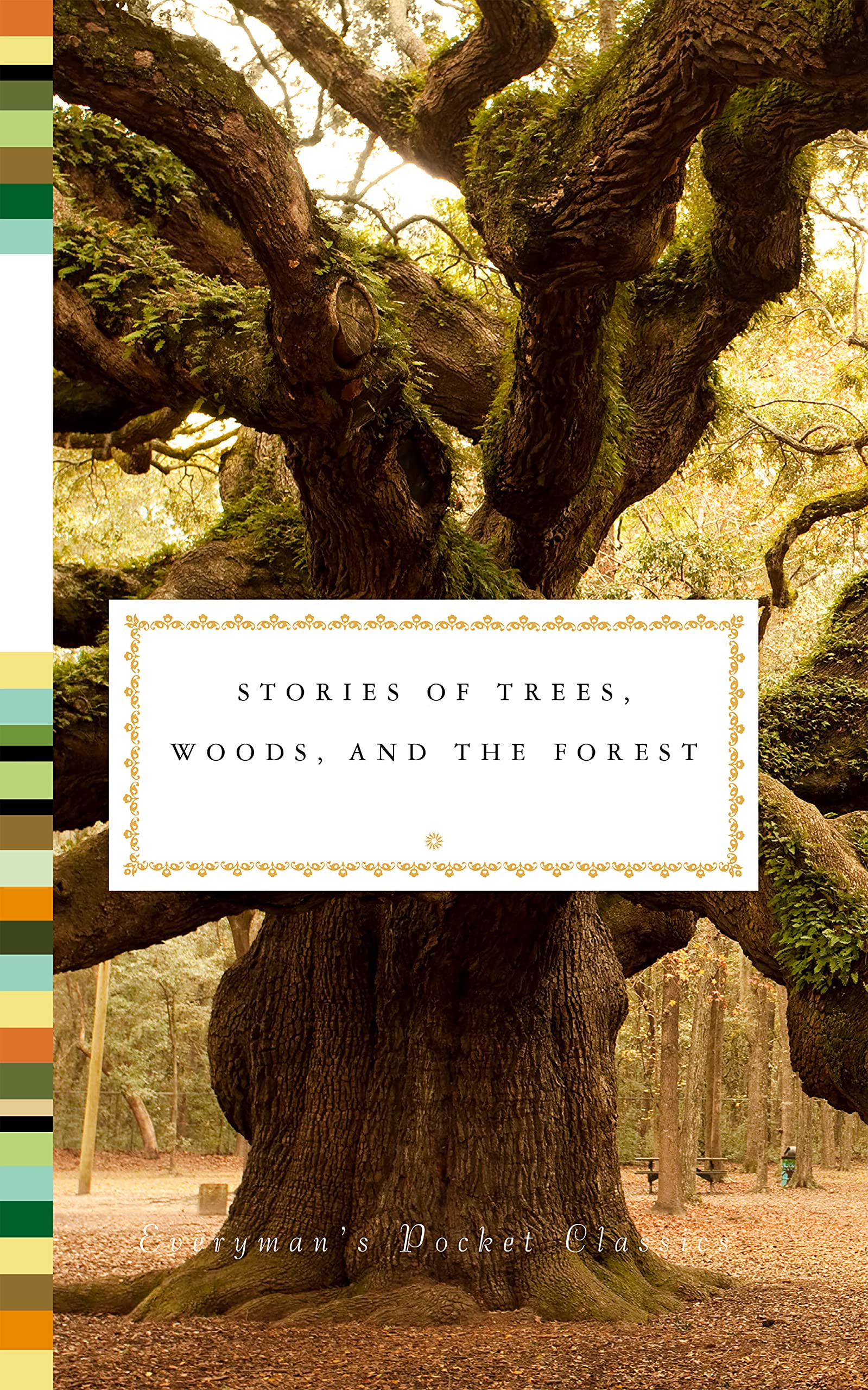 Stories of Trees, Woods, and Forests