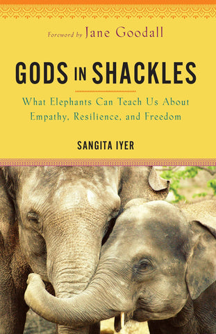 Gods in Shackles: What Elephants Can Teach Us About Empathy, Resilience, And Freedom