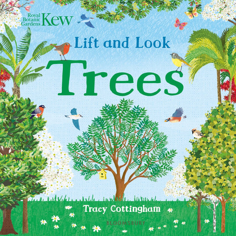 Lift And Look: Trees