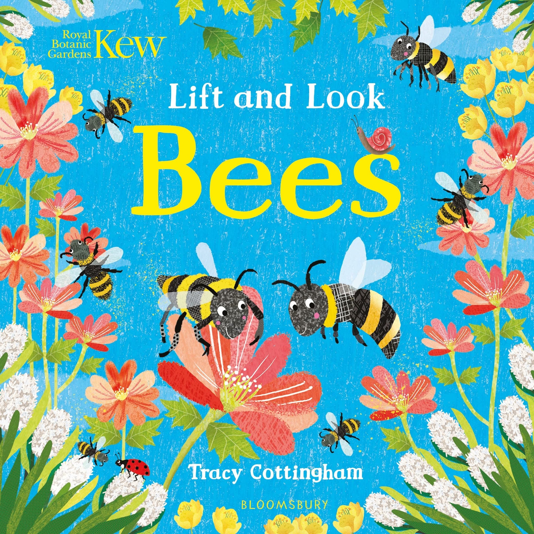 Lift And Look: Bees