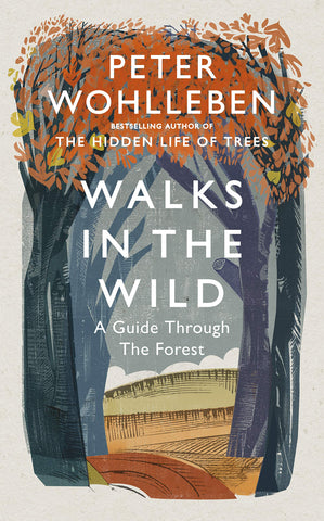 Walks In The Wild: A Guide Through the Forest