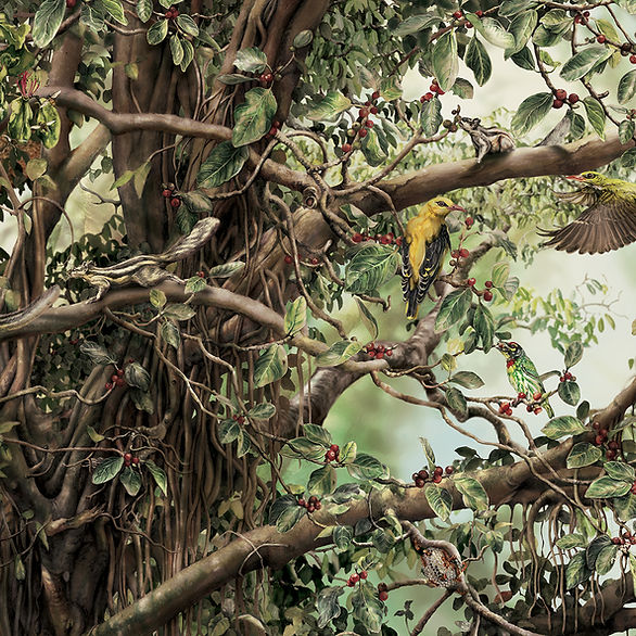 Up In A Banyan Tree (Jigsaw Puzzle)