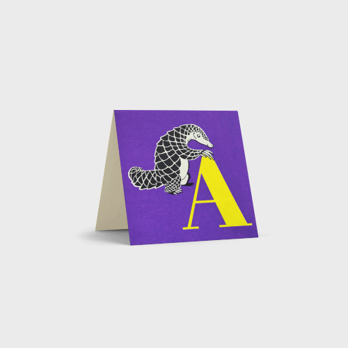 Alphabet Cards by Tara Books