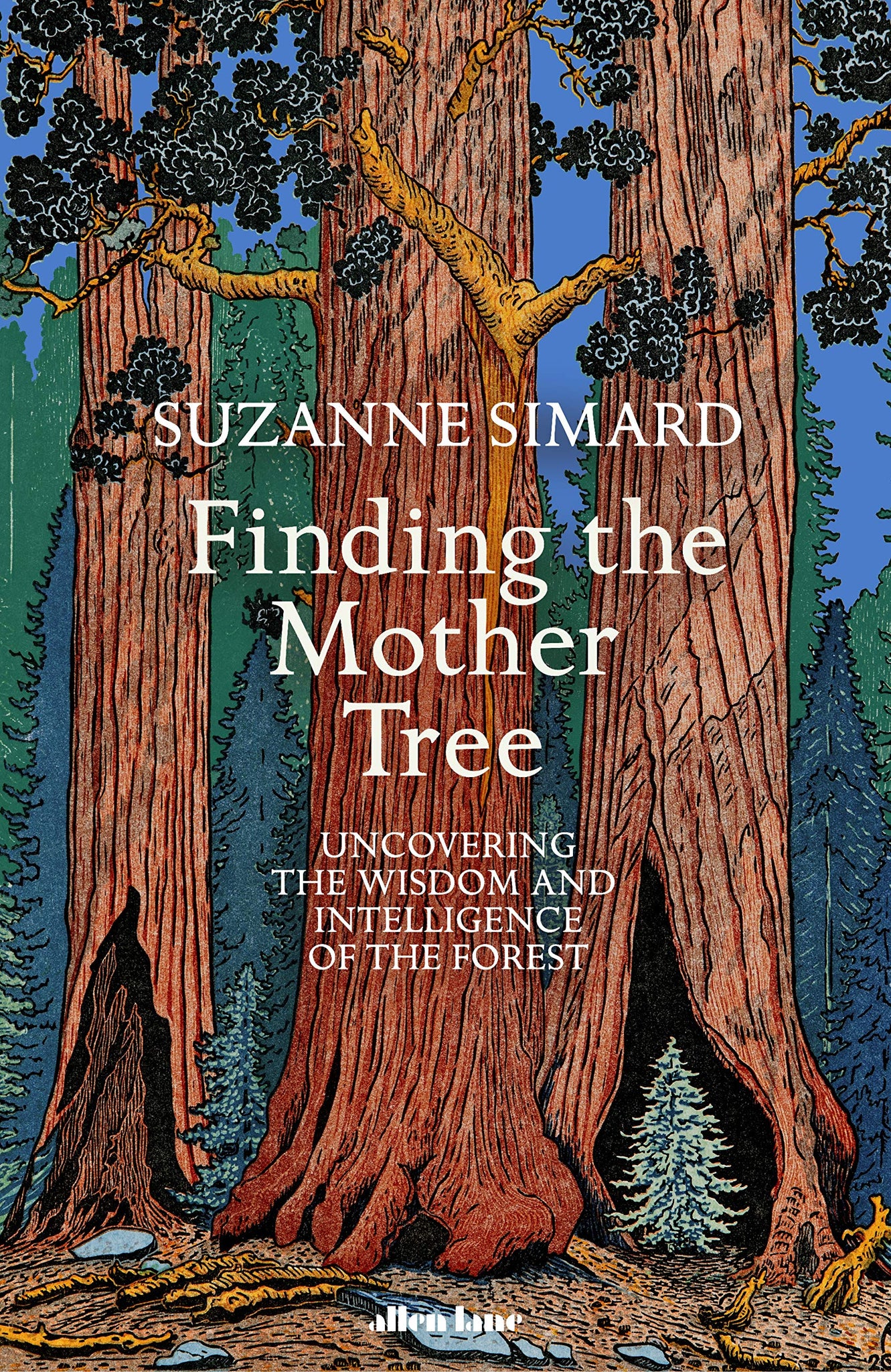 Finding The Mother Tree: Uncovering The Wisdom And Intelligence Of The Forest