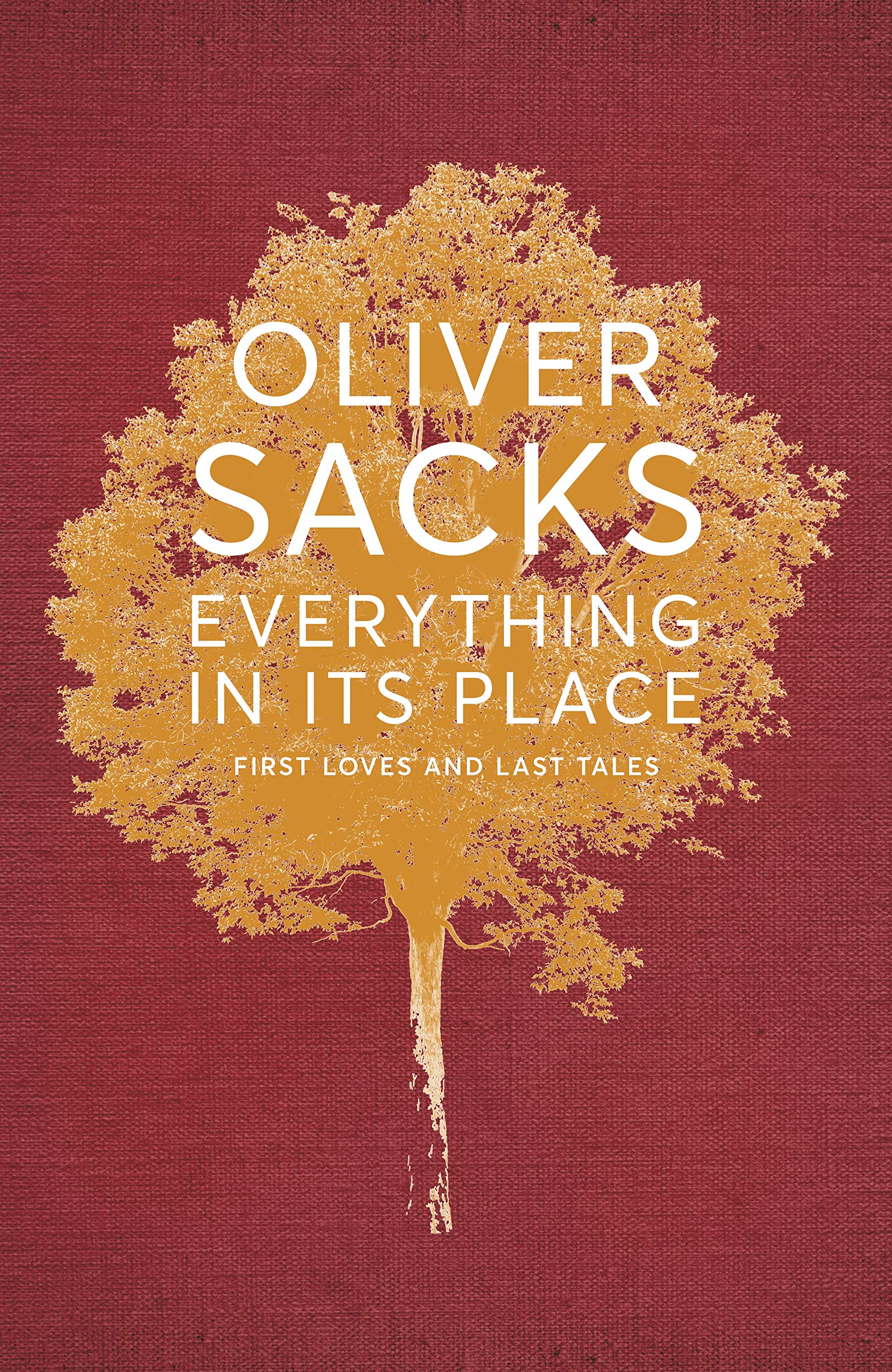 Everything In Its Place: First Loves And Last Tales