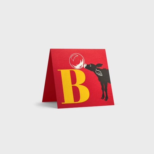 Alphabet Cards by Tara Books
