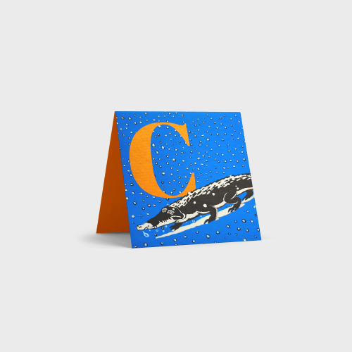 Alphabet Cards by Tara Books