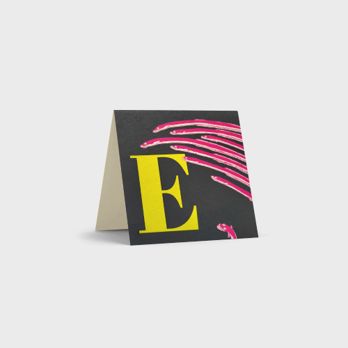 Alphabet Cards by Tara Books