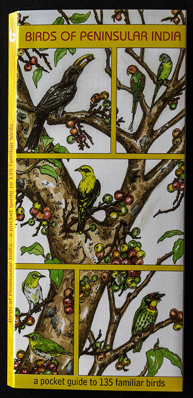 Birds of Peninsular India