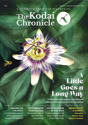 The Kodai Chronicle: A Little Goes A Long Way