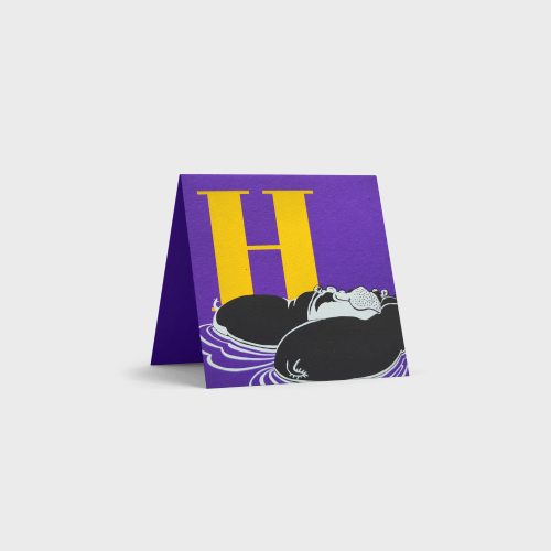 Alphabet Cards by Tara Books