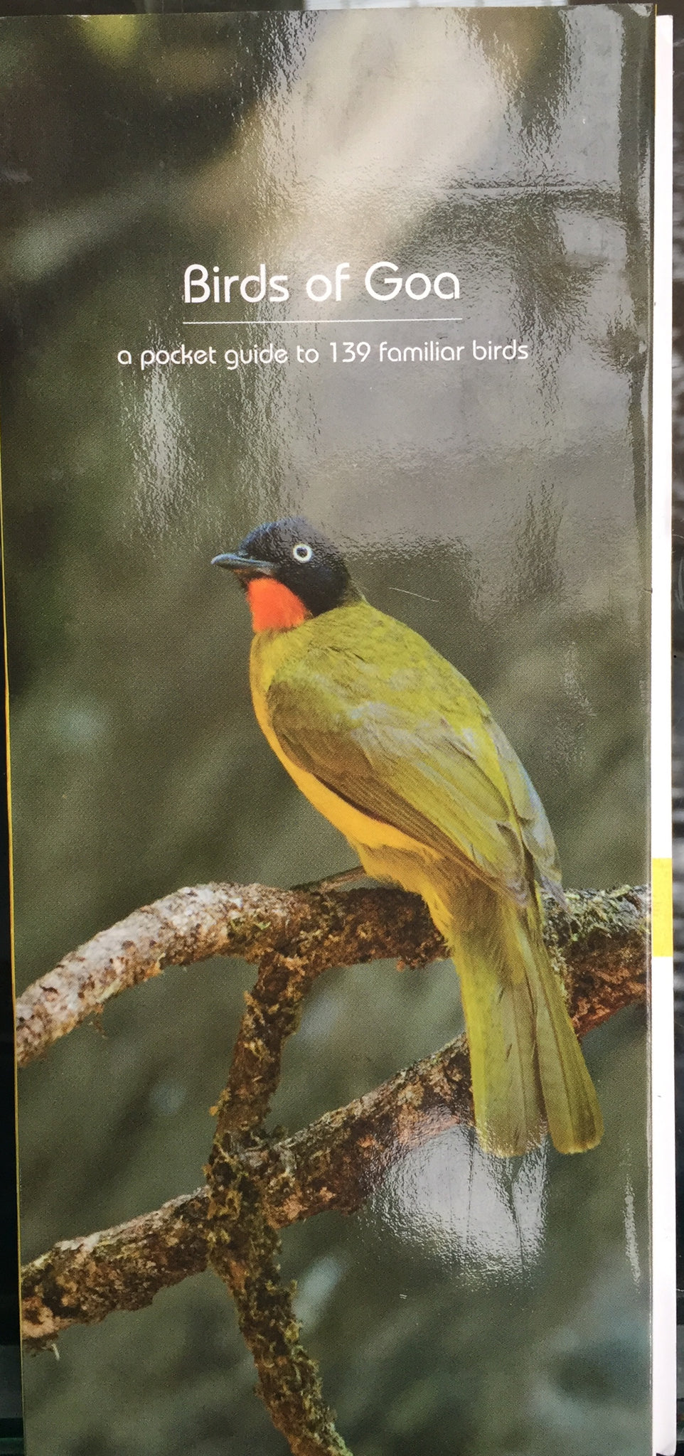 Birds of Goa: a pocket guide to 139 familiar birds