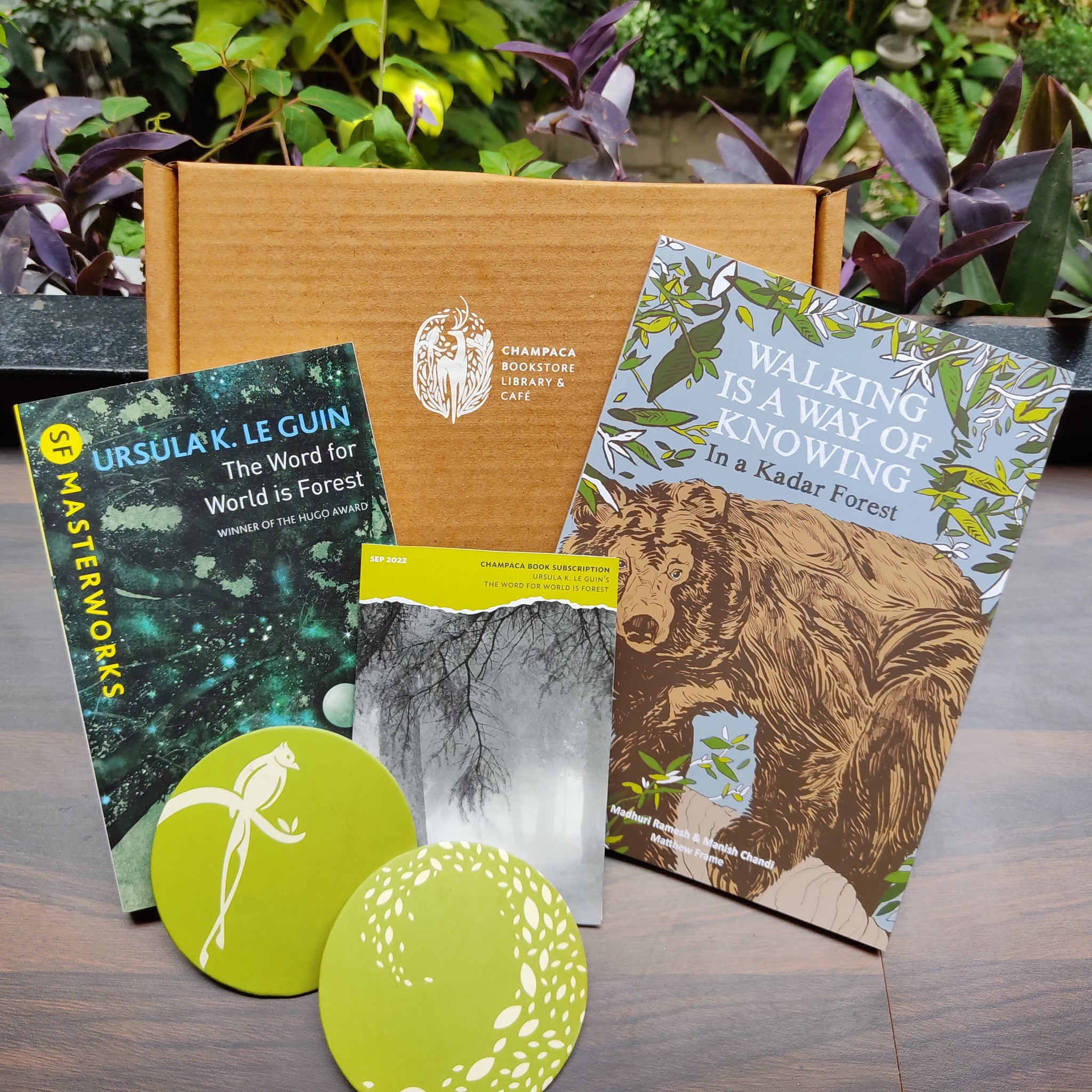 Gift Box — The Word for World is Forest